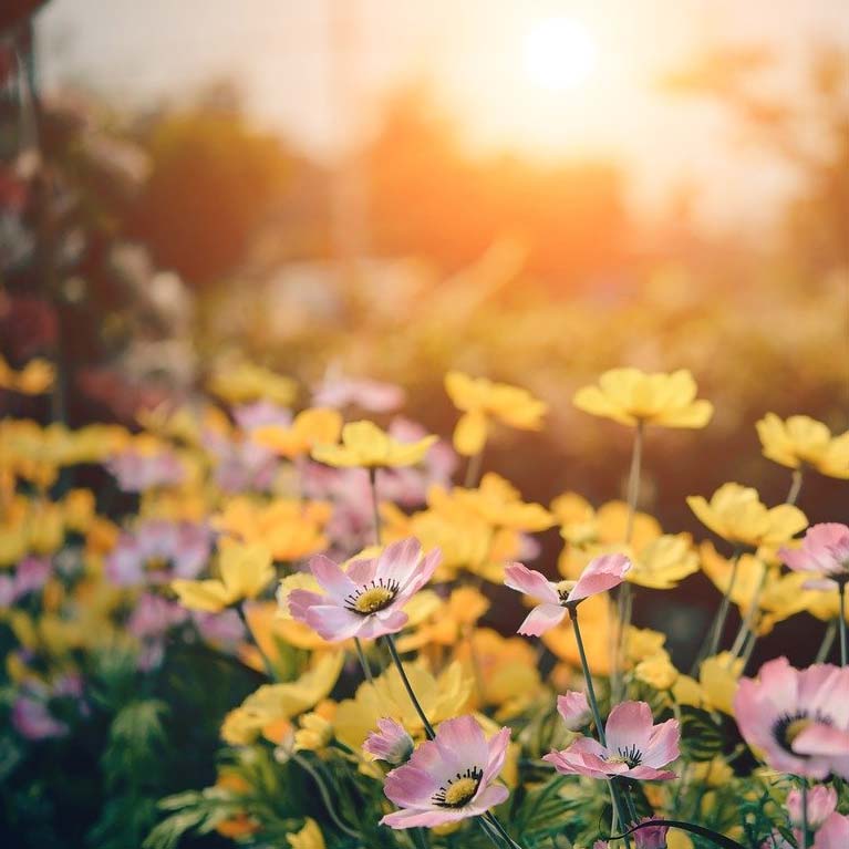 Spring Statement 2026 image